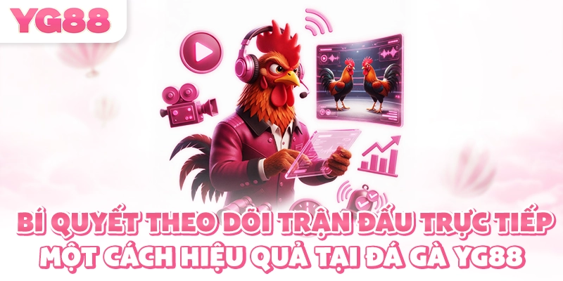 Bí quyết theo dõi trận đấu trực tiếp một cách hiệu quả tại đá gà YG88